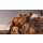 Xbox Jurassic World Evolution 2 - 677354 - zdjęcie 6